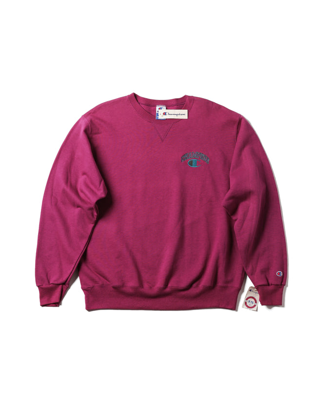 1993 Champion Sweatshirt